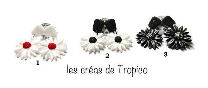 BOUCLES D'OREILLES  PAQUERETTE