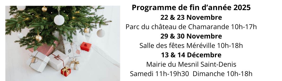programme de fin d'année 2025